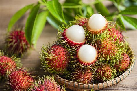 rambutan online casino